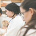 Unlock Educational Opportunities at Loudoun County Festivals