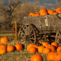 Celebrating the Holidays in Loudoun County