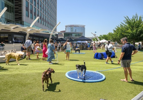 A Pet-Friendly Summer in Loudoun County, Virginia