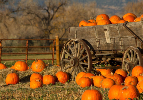 Celebrating the Holidays in Loudoun County
